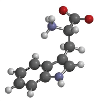 tryptophan-01